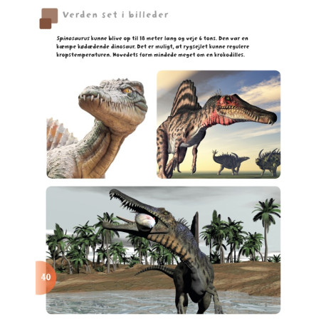 Bog: Dinosaurer og andre øgler fra fortiden