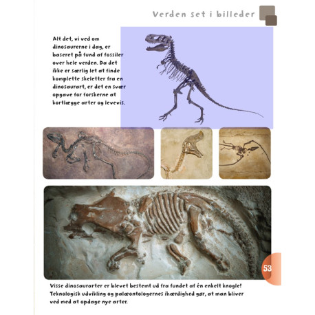 Bog: Dinosaurer og andre øgler fra fortiden