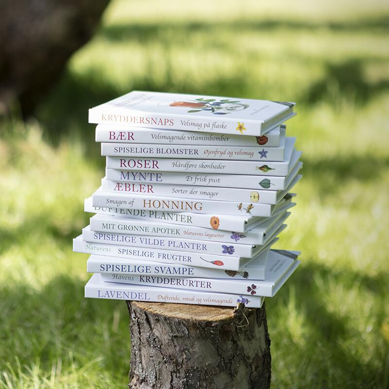 Bog: BÆR - Sund superfood - Treasurehunter.dk