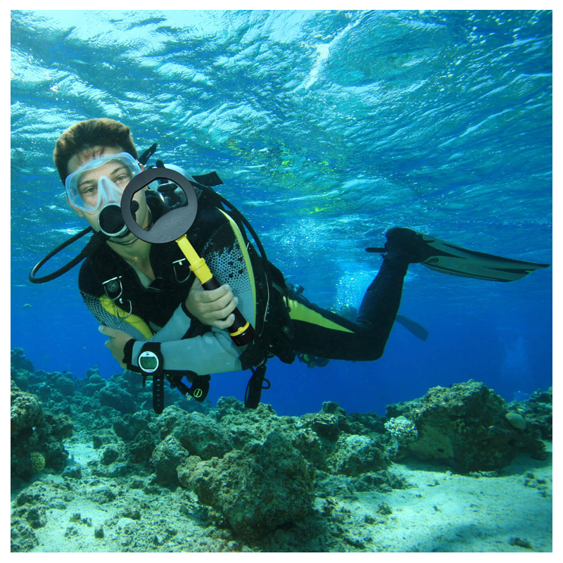 NOKTA PulseDive - Treasurehunter.dk