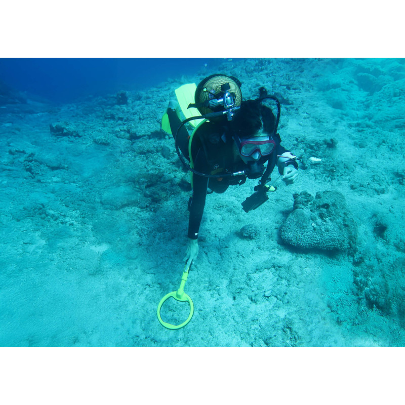 NOKTA PulseDive | 20 cm søgespole | Treasurehunter.dk