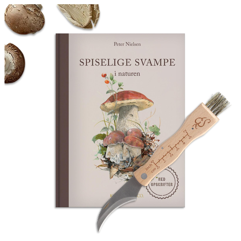 Sanke sæt, svampekniv og bog