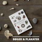 Bøger & Plakater