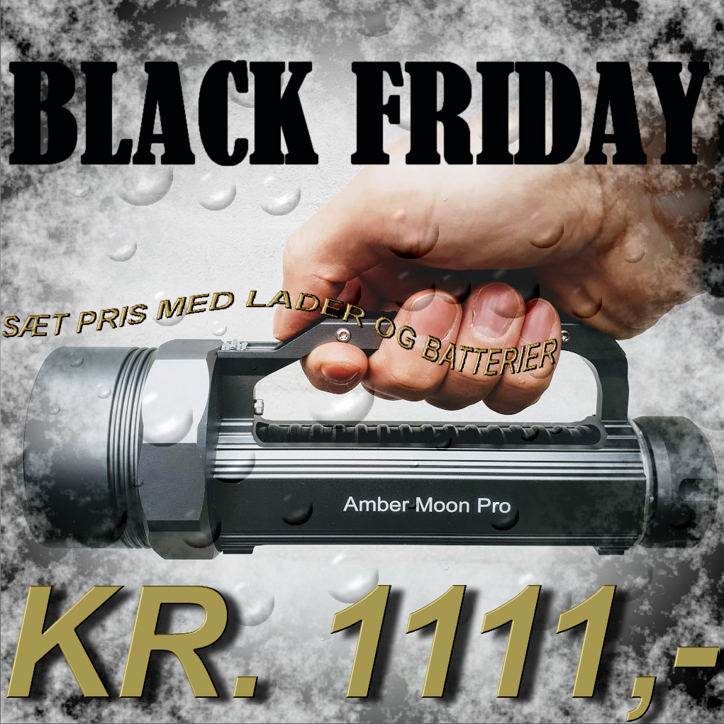 BLACK FRIDAY - AMBER MOON PRO
