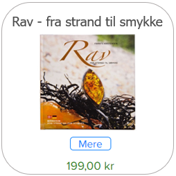 Bog - Rav fra strand til smykke